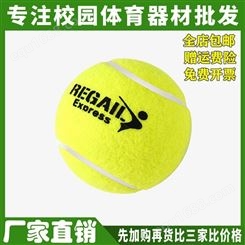 厂家网球高弹性耐打初学者训练球 耐磨初中比赛专用按摩宠物球